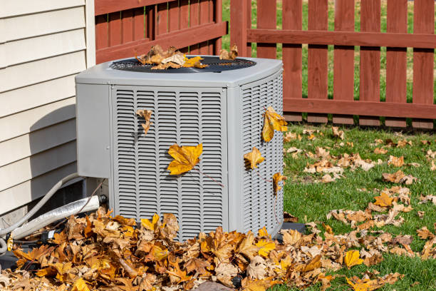 Best HVAC Maintenance Plan  in Ely, IA